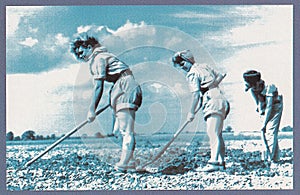 Vintage postcard `Land army girls hoeing`  WW2 Recruitment poster1940s