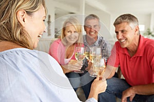 Social mid age couples drinking together at home