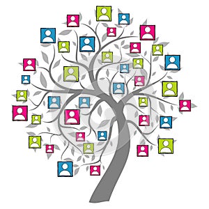 Social net tree