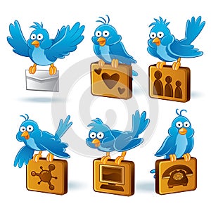 Social Network Bluebird