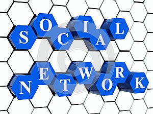 Social network - hexahedrons in cellular structure