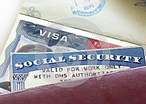 Social Security Card photo