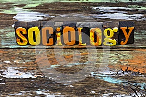 Sociology education social society research people human crowd ethnicity