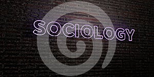 SOCIOLOGY -Realistic Neon Sign on Brick Wall background - 3D rendered royalty free stock image