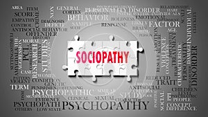 Sociopathy - a complex subject, related to many concepts. Pictured as a puzzle and a word cloud made of most important ideas and