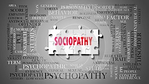 Sociopathy - a complex subject, related to many concepts. Pictured as a puzzle and a word cloud made of most important ideas and photo