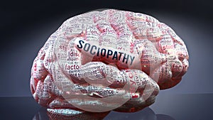Sociopathy and a human brain