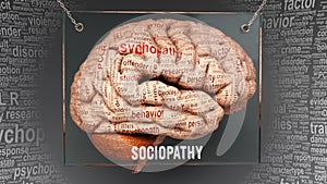 Sociopathy in human brain