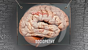 Sociopathy in human brain photo