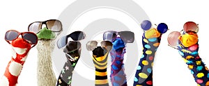 Sock puppets wearing glasses