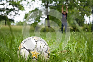 Socker ball in the garden with goalkeeper