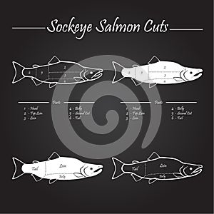 Sockeye salmon cuts diagram