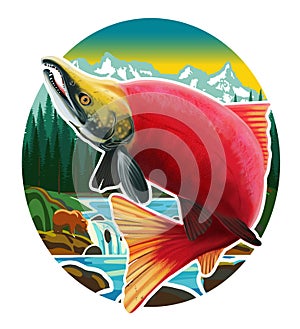 Sockeye Salmon Logo Illustration. Isolated on white background.
