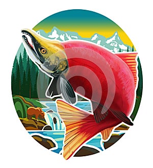 Sockeye Salmon Logo Illustration. Isolated on white background. photo