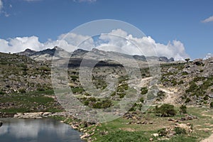 Socotra Island