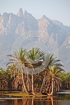 Socotra mountains