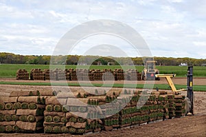 Sod Farm