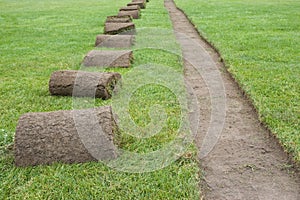 Sod rolls on grass field