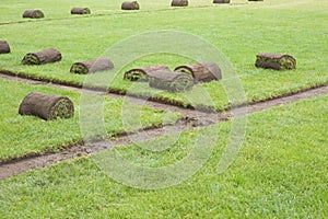 Sod rolls on a grass field