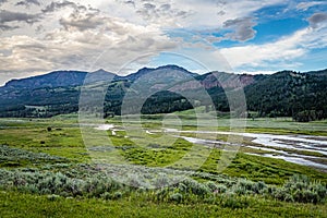 Soda Butte Creek Yellowstone