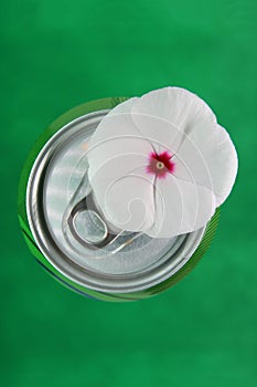 Soda drink can and flower. Soda drink tin and flower.