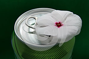 Soda drink can and flower. Soda drink tin and flower.