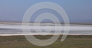 Soda lake at Carrizo Plain National monument in California