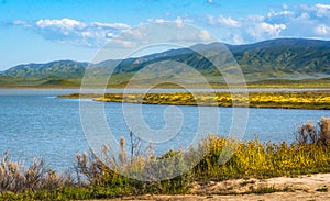 Soda Lake full of water, and wildflowers bloom at Carrizo Plain Ntional Monument, CA