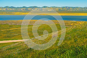 Soda Lake overlook, and wildflowers bloom at Carrizo Plain Ntional Monument, California