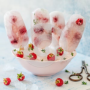 Soda, Raspberry and Thyme Ice Pops