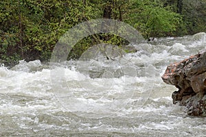 Soddy Blue Hole Creek 44