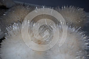 sodium aluminosilicate crystals in close-up