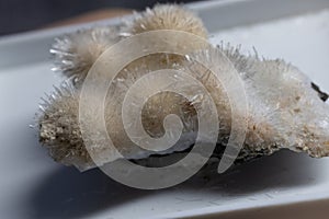 sodium aluminosilicate crystals with needles