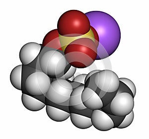 Sodium dodecyl sulfate (SDS, sodium lauryl sulfate) surfactant molecule. Commonly used in cleaning products. 3D rendering. Atoms