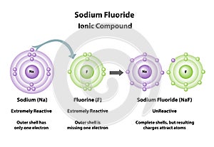 Sodium Fluoride ionic compound created