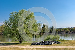 Sodros lake beach on Danube in Novi Sad, Serbia. People collect garbage and clean the shore