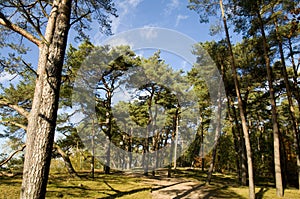 Soesterduinen