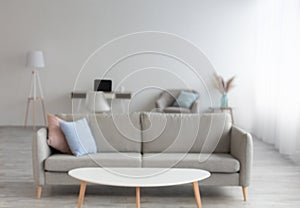 Sofa with blue and pink pillows, chair and desk with laptop and cup, dry bouquet in vase on table