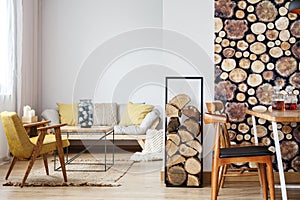 Sofa, firewood and dining area