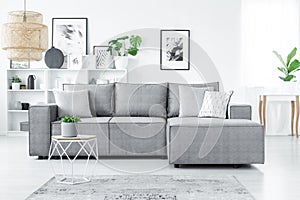 Sofa in living room photo