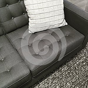 Sofa, rug and cushion in the shades of gray
