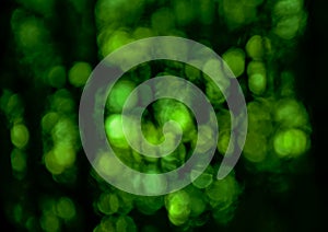 Soft abstract bokeh background with pale green light circles