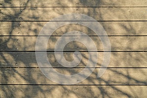 Soft abstract natural pattern of big tree branches shadow on light brown wooden plank strip grain texture surface walkway