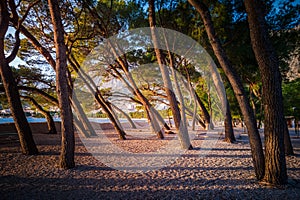 Soft afternoon sunlight on an empty beach in Makarska, Croatia