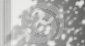 Abstract natural shadow play delicate leaf patterns light and shadow texture