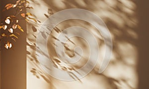 Soft autumn shadows cast on a warm beige wall create a serene atmosphere