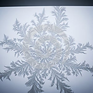 And the soft background highlighting the natural beauty and complexity