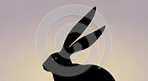 And the soft background highlights the rabbit s form creating a