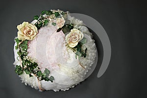 Soft Bird Nest Fantasy Background Photo Prop with vine and flowers Isolated on gray