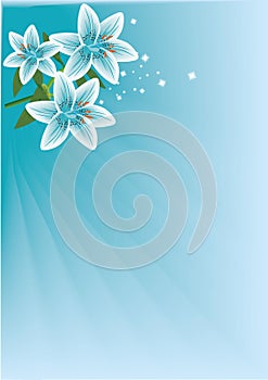 Soft Blue Lilies Backdrop Portrait